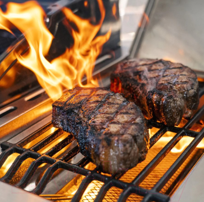 Газовый гриль Nexgrill Deluxe 720-0958HA- фото9