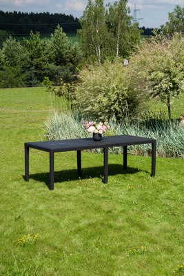 Стол пластиковый Ipae Progarden Prince 042980360 / PRI016AN- фото6