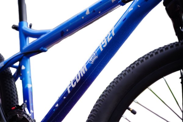 Детский велосипед Polar Bike Everest Fs Disk 22 / В262S10220- фото9