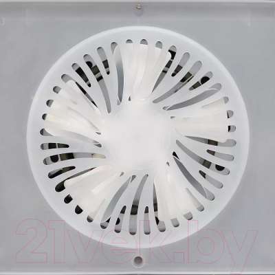 Сушилка для овощей и фруктов Timberk T-PFD42149- фото6, картинка6 Сушилка для овощей и фруктов Timberk T-PFD42149- фото6