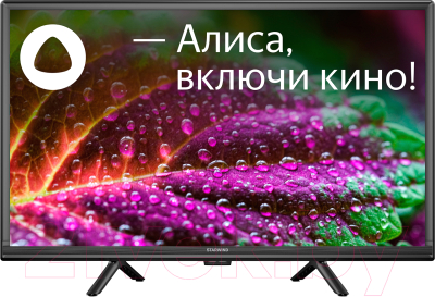Телевизор StarWind SW-LED24SG304- фото