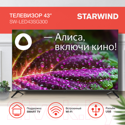 Телевизор StarWind 43