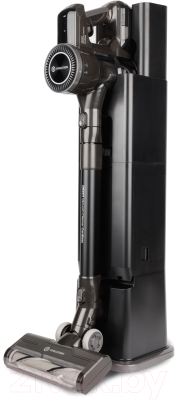 Вертикальный пылесос Evolution Smart DS2511 (с базой самоочистки)- фото3