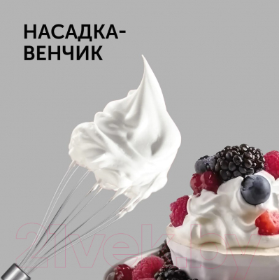 Блендер погружной RED solution RHB-2908- фото10, картинка10 Блендер погружной RED solution RHB-2908- фото10