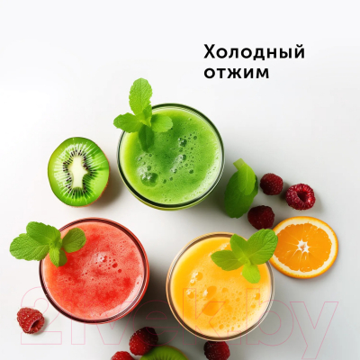 Соковыжималка электрическая RED solution RJ-930S- фото10