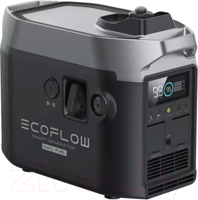 Гибридный генератор EcoFlow Dual Fuel Smart Generator- фото
