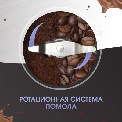 Кофемолка Zigmund & Shtain ZCG-01- фото6
