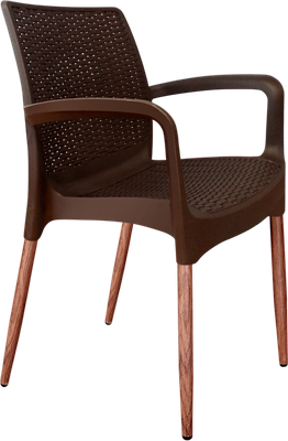 Стул садовый Sheffilton SHT-ST68/S424-С- фото