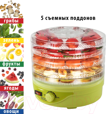 Сушилка для овощей и фруктов Econ ECO-3012FD- фото5