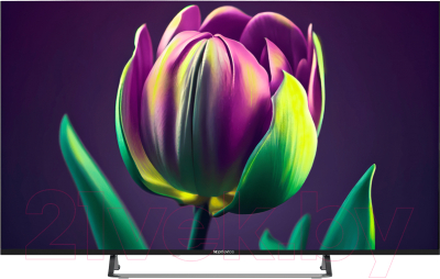 Телевизор Topdevice TDTV50CS06UBK- фото