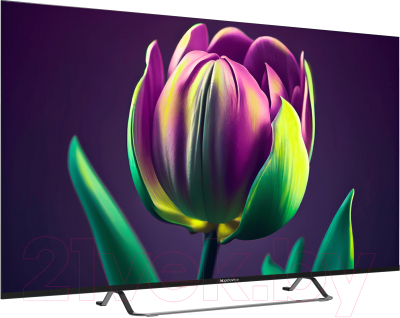 Телевизор Topdevice TDTV50CS06UBK- фото4