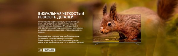 Телевизор Blaupunkt 50UGC6000T- фото9
