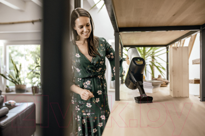 Вертикальный пылесос Karcher VC 6 Cordless OurFamily- фото2