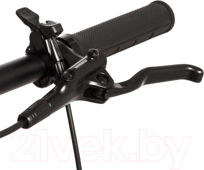Велосипед Stinger 29 Reload Evo 29AHD.RELOEVO.22BK3- фото3