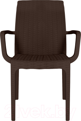 Стул пластиковый Ellastik Plast Rattan Ola Dom- фото2
