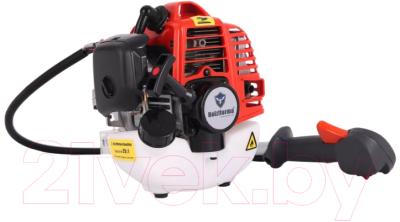 Триммер бензиновый Holzfforma FF226R (BC22600-12049)- фото5