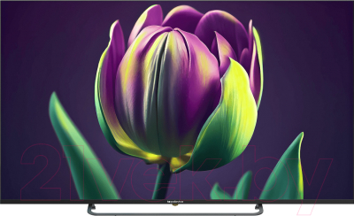 Телевизор Topdevice TDTV65CS06UBK- фото