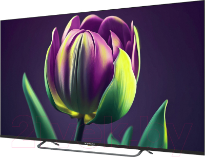 Телевизор Topdevice TDTV65CS06UBK- фото2