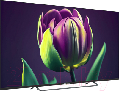 Телевизор Topdevice TDTV65CS06UBK- фото3