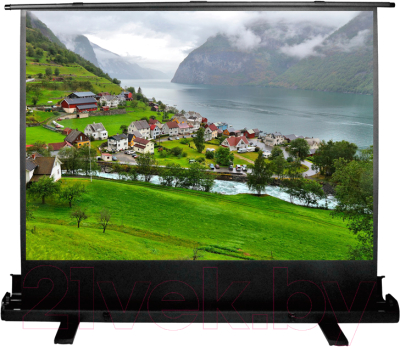 Проекционный экран Cactus FloorExpert CS-PSFLE-180X102- фото6, картинка6 Проекционный экран Cactus FloorExpert CS-PSFLE-180X102- фото6