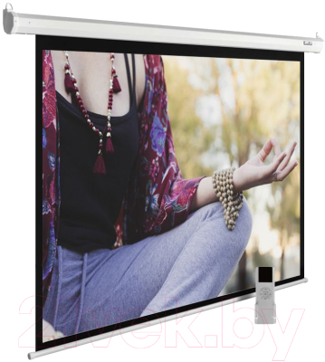 Проекционный экран Cactus MotoExpert CS-PSME-280x210-WT- фото2