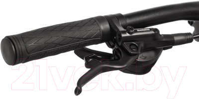 Велосипед Stinger 29 Reload Evo 29AHD.RELOEVO.22BK4- фото4