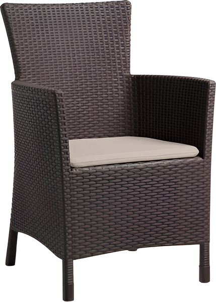 Кресло садовое Keter Iowa DC / 212277- фото