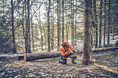 Бензопила цепная Husqvarna 562XP Mark II 18- фото3