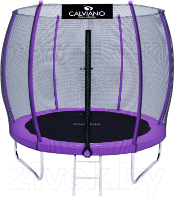 Батут Calviano D-252 (внешняя сетка, лестница, фиолетовый)- фото