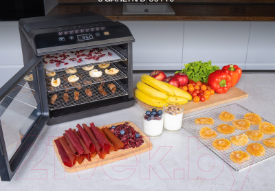 Сушильный шкаф для овощей и фруктов Garlyn D-06 Pro- фото3