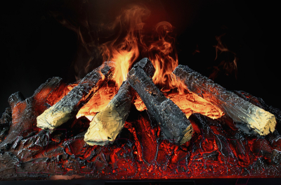 Электрокамин Royal Flame Design L560RF 3D LOG- фото6