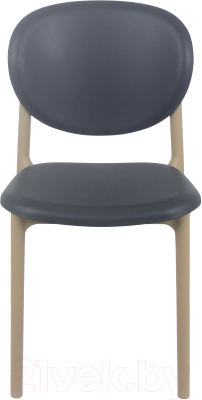 Стул пластиковый Sheffilton SHT-S180- фото2