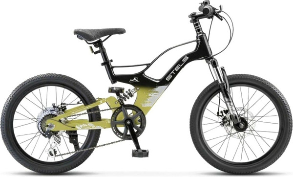 Детский велосипед STELS Leader-250 MD 20
