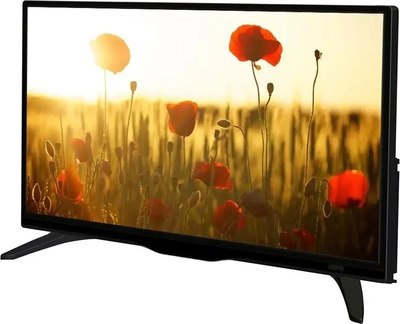 Телевизор Asano 24LH1020T- фото3