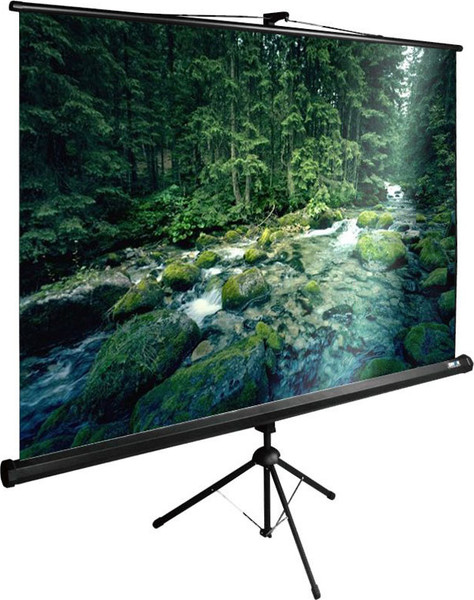 Проекционный экран Cactus CS-PSTE-220X165-BK- фото