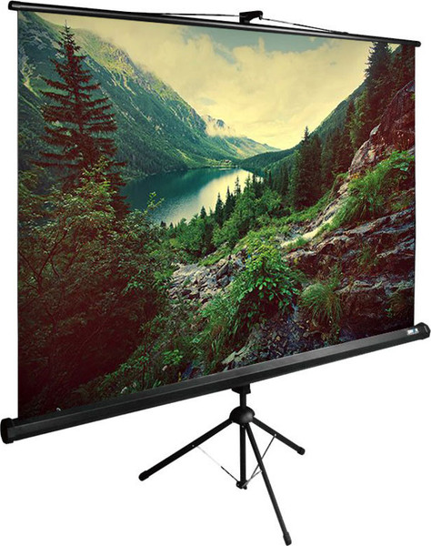 Проекционный экран Cactus CS-PSTE-220X220-BK- фото