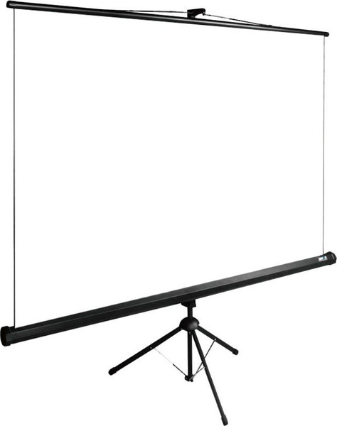 Проекционный экран Cactus CS-PSTE-220X220-BK- фото3