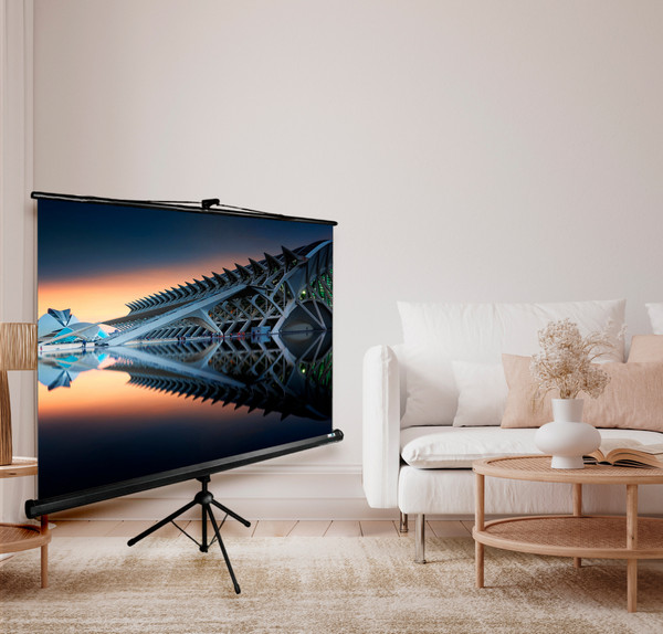 Проекционный экран Cactus CS-PSTE-220X220-BK- фото4