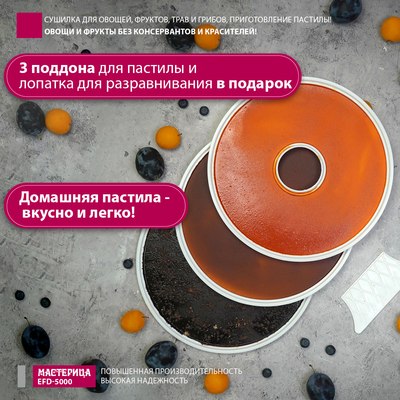 Сушилка для овощей и фруктов Мастерица EFD-5000- фото2
