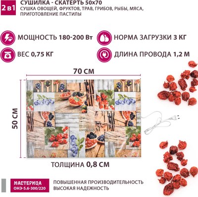 Сушилка для овощей и фруктов Мастерица ОНЭ-5.6-300/220- фото6