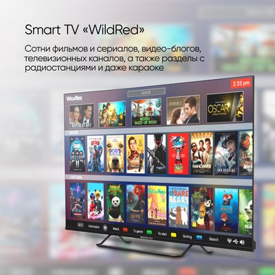 Телевизор Topdevice TDTV65CS05UBK- фото2