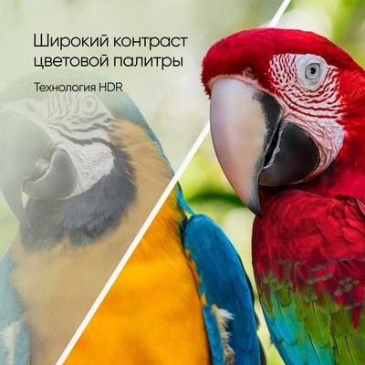 Телевизор Topdevice TDTV65CS05UBK- фото5