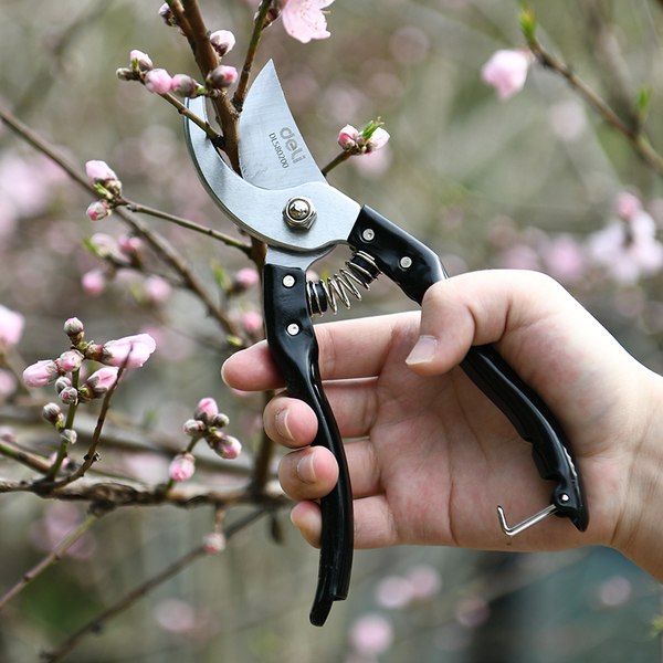 Секатор механический Deli EDL580200- фото3, картинка3 Секатор механический Deli EDL580200- фото3