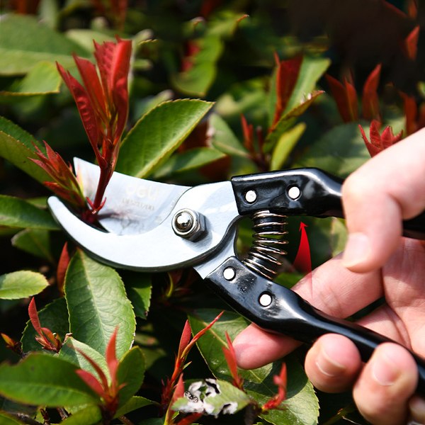 Секатор механический Deli EDL580200- фото4, картинка4 Секатор механический Deli EDL580200- фото4