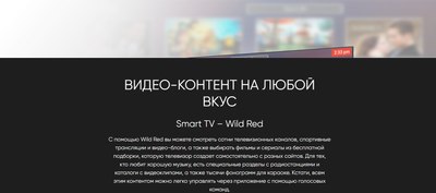 Телевизор Topdevice TDTV65CQ08UBK (черный)- фото9