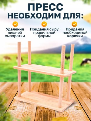 Пресс для сыроварни Helicon Bergmann- фото5