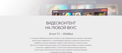 Телевизор Topdevice TDTV42BS04FBK- фото8