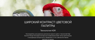 Телевизор Topdevice TDTV50CQ08UBK- фото7