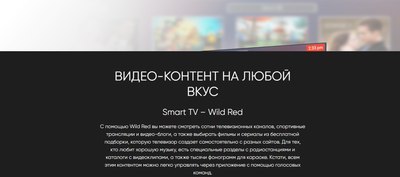 Телевизор Topdevice TDTV50CQ08UBK- фото9
