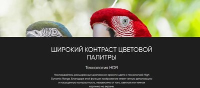Телевизор Topdevice TDTV50CQ09UBK- фото7